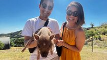 FARM STAY EXPERIENCE & DOZZA - Private Day Tour From Bologna