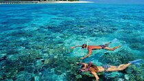 Day Trip to Ain El Sokhna Beach