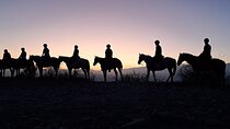 Horseback Riding at Sunset and Dinner at an Estancia in Mendoza