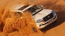 Evening Desert Safari with BBQ Dinner Live Shows 