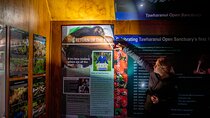 Matakana Kiwi Wilderness Experience - Private Tour From Auckland