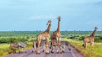  5 days Sossusvlei, Swakopmund and Etosha NP Camping 