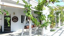 Train and Taxi Grape Temple and Winery Tour in Yamanashi