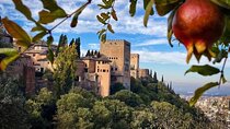 Private Alhambra and Generalife Tour from Malaga