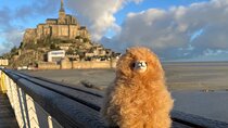 Full-day Private Tour in Mont Saint Michel with Calvados Tasting 