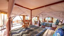 12 Days Tanzania Luxury Safari and Zanzibar Beach Holiday