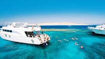 Full Day Shared Snorkeling to Hamata Islands from Marsa Alam