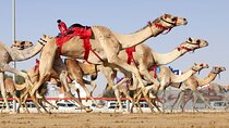 Sheikh Faisal, Camel Race Track visit