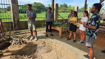 Vavavi - Fijian Cooking & Cultural Experience