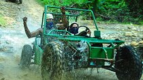 5 tours in 1 (Eco Farm/Horseback/City Tour/Buggy/Zipline) 