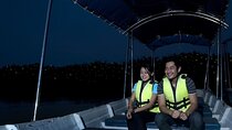 PrivateTour Kuala Selangor Firefly Blinkings & Silver Leaf Monkey
