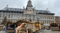 Private Guided Full-day in Antwerp and Brussels with Tastings