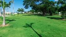 Private Beach Day and Street Food Tour from Montego Bay