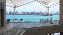 Private Tour to Mall Colón 2000 Duty Free from Panama City