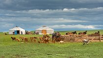 3 Days stay with Nomadic Family
