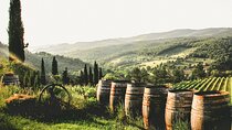 NEW! Private Cultural and Wine Tasting Tour in Eger