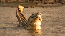 Private 2 Day Selous (Nyerere) Safari Tour from Dar es salaam