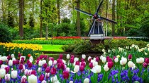 Full Day Private Tour of Keukenhof Garden from Brussels
