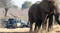 10 Day Great Migration Photographic Safari