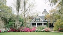 Magnolia Plantation Tour with Small Group Transportation