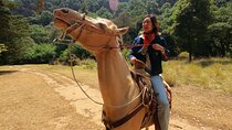 Horseback Riding in the Forest and Breakfast in Cabin