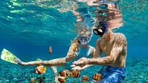 Muscat Omani Dhow Cruise and Snorkeling Tour