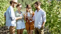 Évora, Esporão Winery & Monsaraz | Exclusive Private Wine Tour