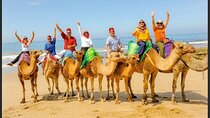 Authentic Private Tangier Tour from Malaga Camel Ride & Lunch