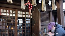 Private Akihabara Historical and Cultural Exploration