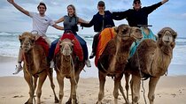 3 Days Tour to Tangier,Chefchaouen, Tetouan in Morocco