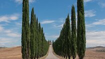 From Rome: Exploring Culture, Wine, and Food in Tuscany