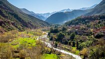 Private Full Day Tour in Ourika Valley
