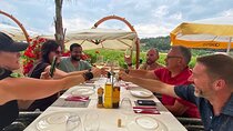 Private Ephesus Tour & Wine Tasting & Mediterrranean Lunch