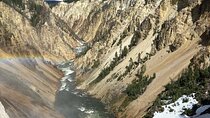 Full Day Private Wildlife/Geyser Tour from West Yellowstone