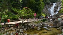 Cameron Highland Private Full Day Tour from Kuala Lumpur