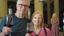 Private Tour in the Andes Mountains Pedal and Taste Wines