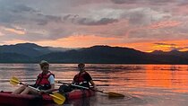 Paquera Bioluminescence Tour by Kayak