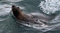 Shoalwater Islands Marine Park Cruise with Lunch