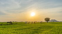 Siem Reap Countryside & Sunset Vespa Tour
