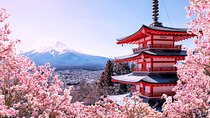 Mt. Fuji & Hakone Area Highlight Spots Car pooling Tour
