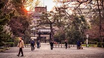 Kyoto Private Tour by Licensed Native Japanese Guide 