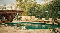 2 Days Private Midrange Safari from and back to Zanzibar