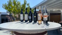 Explore Wine in Santorini Wine tasting in 3 wineries and brewery