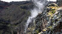 Pompeii and Vesuvius Small Group Tour From Naples with Pizza