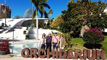 Estepona private trip with hotel or shore pickup from Marbella