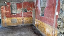 From Positano: Pompeii Vesuvius & Lunch All Inclusive