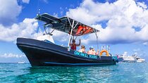 Snorkel Adventure at Cozumel! Transportation from Cancun & Playa Del Carmen