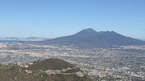 Pompeii & Vesuvius with Lunch & Wine Tasting from Amalfi Coast 