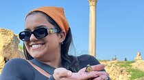 Full-Day Private Guided Alexandria Tour from Cairo