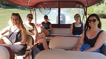 Danube Delta Private Day Trip from Bucharest